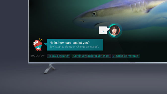 Hisense TV Voice Assistant - VIDAA 6